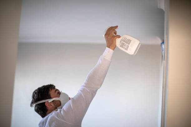 Best Commercial Mold Removal  in Strawberry Plains, TN