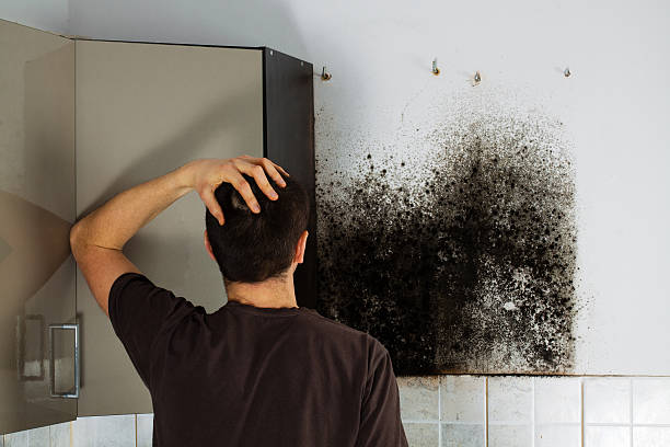 Best Home Mold Removal  in Strawberry Plains, TN